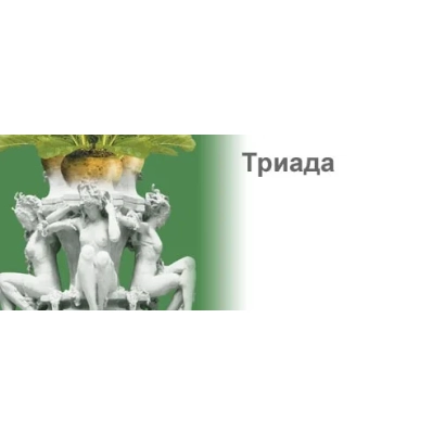 Регистрационное фото продукта Триада