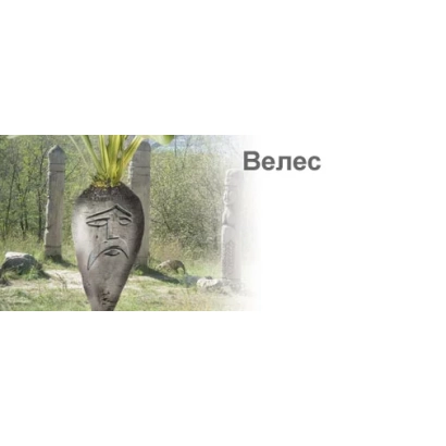 Иллюстрация свеклы с лицом и надписью Велес