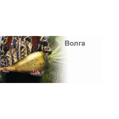 Золотой мешок с семенами сорта Волга на фоне декоративных элементов