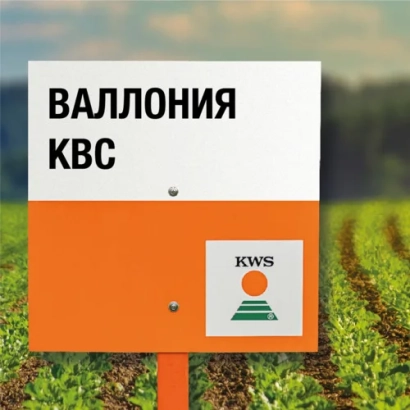 Маркировка продукта ВАЛЛОНИЯ КВС на фоне поля сахарной свеклы