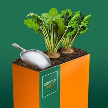 Растение сахарной свеклы ВОМБАТ СМАРТ в горшке с лопаткой на оранжевом фоне