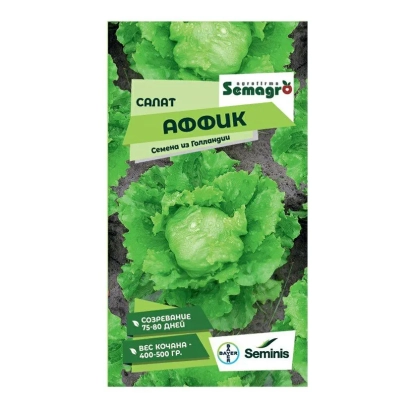 Пакет семян салата АФФИК от Semagri