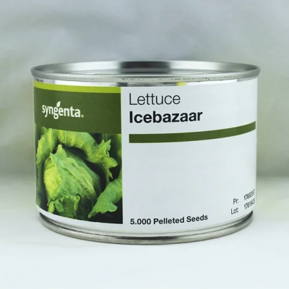 Пакет семян салата Icebazaar от Syngenta - АЙСБАЗАР