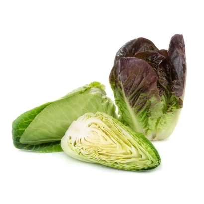 Салат Алайн | Alaine — свежий листовой салат с темно-зелеными и фиолетовыми листьями, нарезанный и целый.