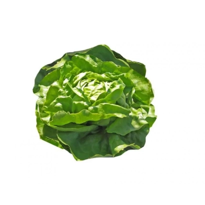 Салат Ямагами - ЯМАГАМІ