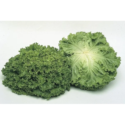 Свежий салат АННИСОЛЬ на белом фоне