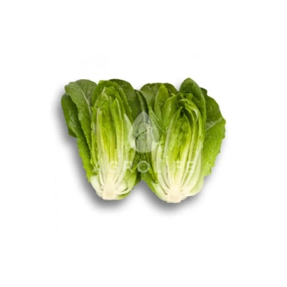 Салат Айсберг на белом фоне - Айвона