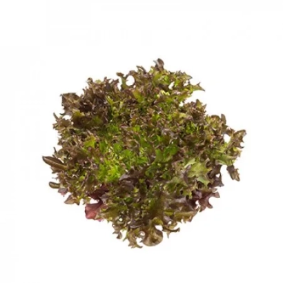 Салат БИНЕКС на белом фоне