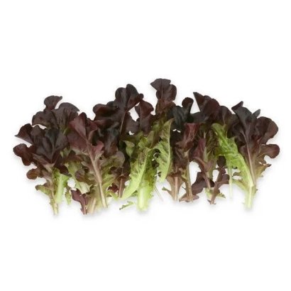 Салат Боттас