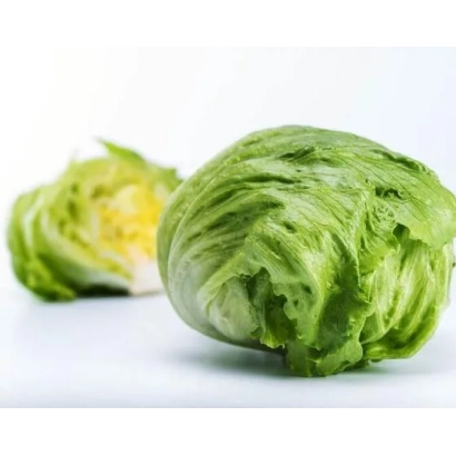 Свежий салат Чаконера на белом фоне