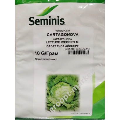 Seed packet of lettuce variety CARTAGONOVA by Seminis
