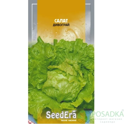 Seed packet of lettuce Divograi