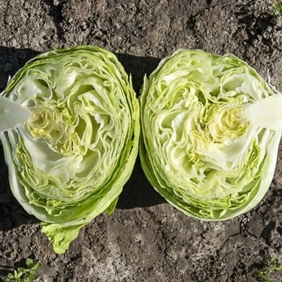 Два куска салата Эдуардо, нарезанные пополам, на земле