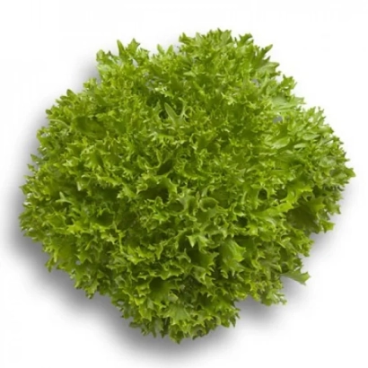 Салат Экспертайз