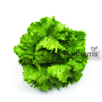 Салат ЭЛСОЛ на белом фоне