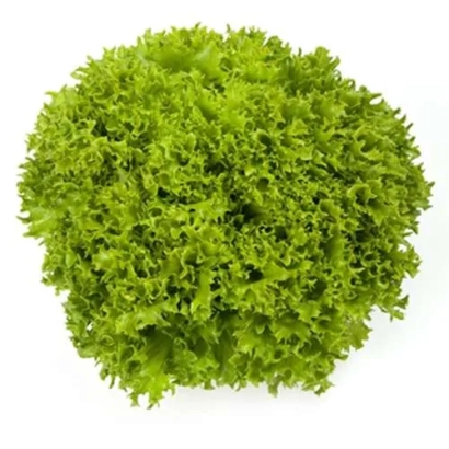 Салат Експлор | Explore