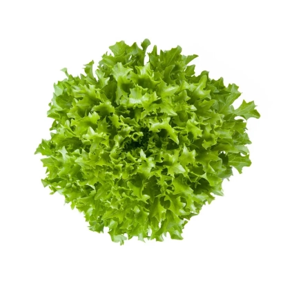 Салат Екстемп | Extemp