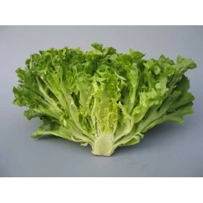 Салат Фристина на сером фоне