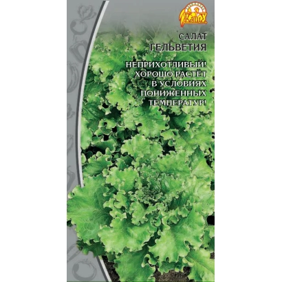 Пакет семян салата Гельветия с изображением листьев
