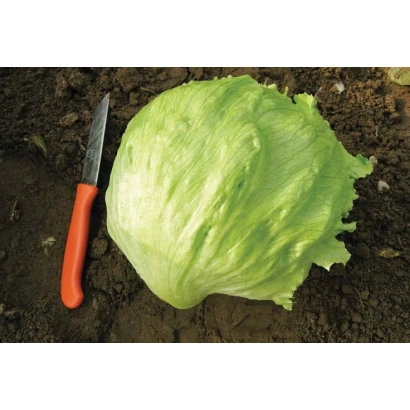 Салат Гондар на земле с ножом