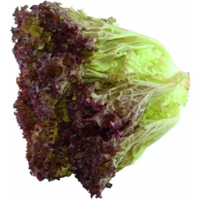 Салат Гренобль