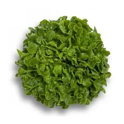 Салат Гумбольдт | Humboldt