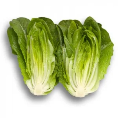 Два кочана салата на белом фоне - Яра