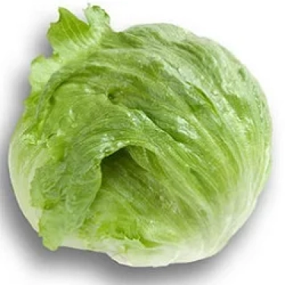 Fresh green lettuce Jasperinas