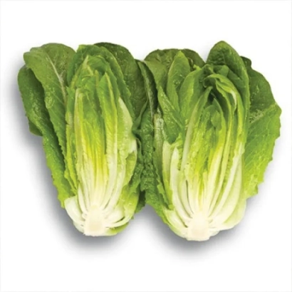 Салат Килнсей на белом фоне