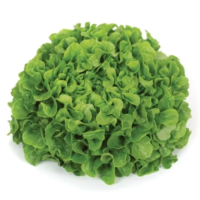 Салат Кирибати