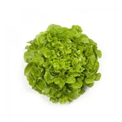 Салат Кириния на белом фоне