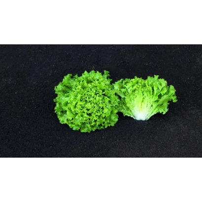 Два куска салата КЛАРИБЕЛЬ на чёрном фоне