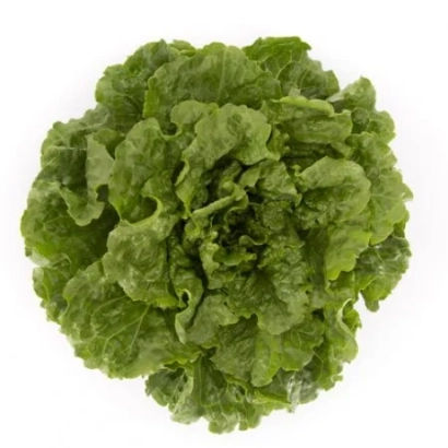 Салат КОНВЕРШН | CONVERSION