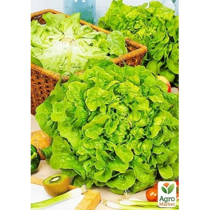 Свіжі листки салату в кошику з овочами на фоні - Крутянський