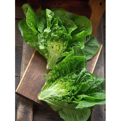 Свежие листья салата Ксанаду на деревянной доске