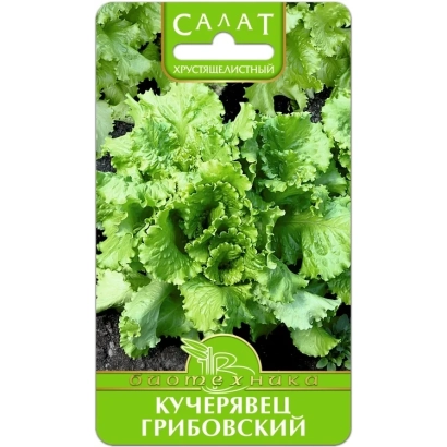 Семена салата Кучерявец Грибовский