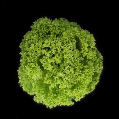 Салат Лиадин на черном фоне