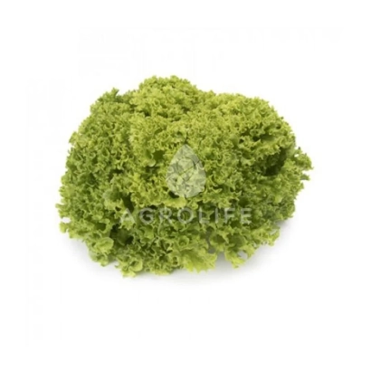 Салат Лимасол от бренда AGROLIFE