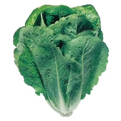 Свіжий зелений салат Ліраз