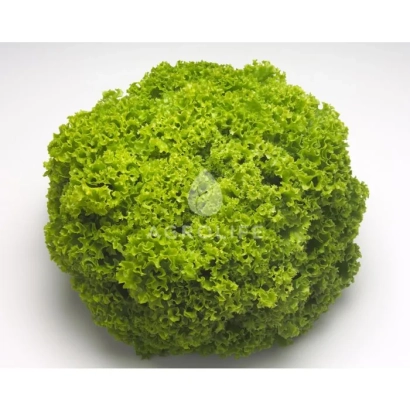 Салат Локарно