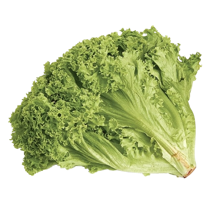 Салат Лолло Бионда