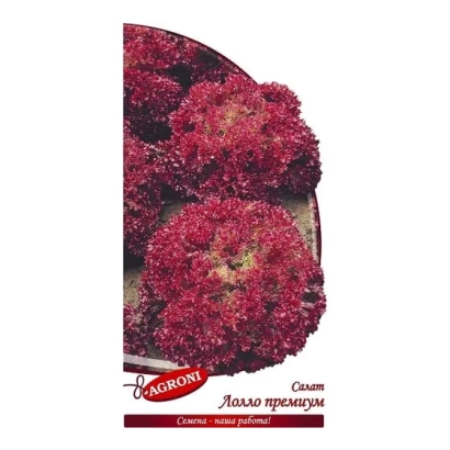 Семена салата Lollo Premium на упаковке - ЛОЛЛО ПРЕМИУМ