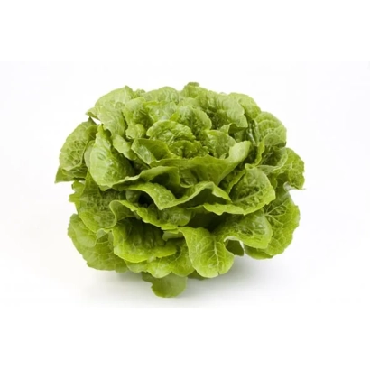 Салат Октавиус