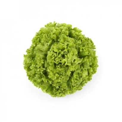 Салат ОЛМЕТИ на белом фоне