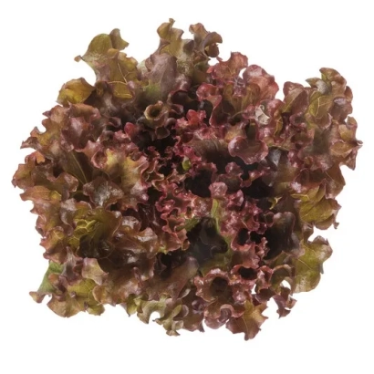 Салат Орбитал