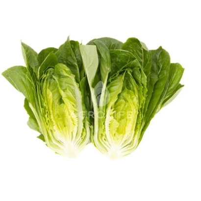 Салат Рубелло на белом фоне - Рабелло