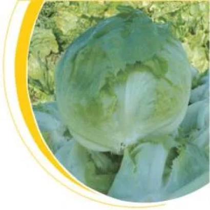 Салат Робинсон на фоне зелени