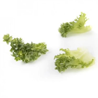 Салат Тамбей на белом фоне