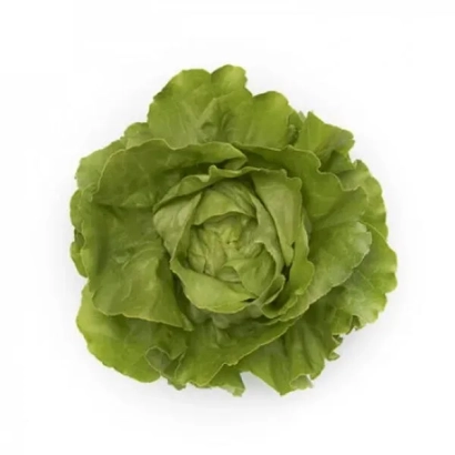 Свежий зеленый салат Томбело на белом фоне