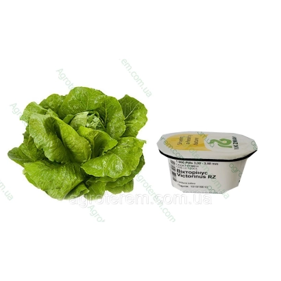 Салат Викторинус в упаковке